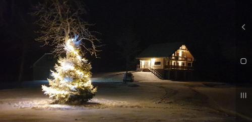 Un árbol de Navidad delante de una casa por la noche en Taga-Kalda, en Nüpli