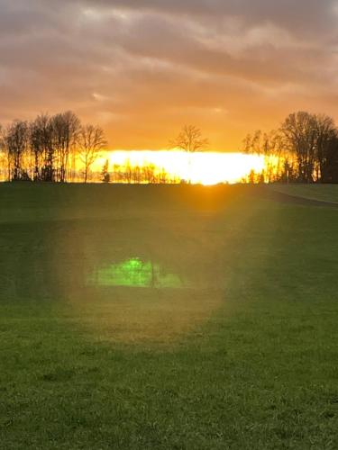 a green field with the sunset in the background at Widmann‘s Ferienquartier in Wiehl