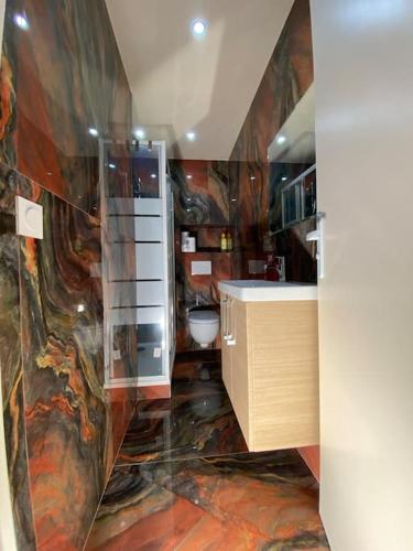 une salle de bain avec un lavabo et des toilettes dans l'établissement Très belle maison neuve F2 avec grand jardin, à Louvres