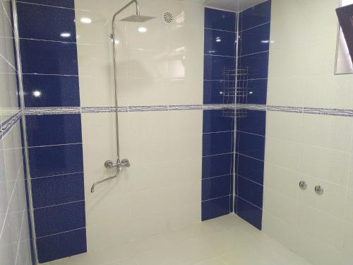 a bathroom with a shower with blue and white tiles at Ganja Guest House in Ganja