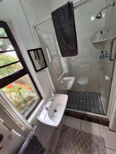 a bathroom with a sink and a shower and a toilet at Villa Ocean Crest B&B in Gansbaai