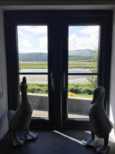two birds sitting on a window sill looking outside at Dyfi Hideaway - Holiday Cottage Snowdonia - Stunning River & Valley Views - Ynyshir in Machynlleth