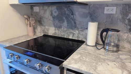 a kitchen counter with a stove and a blender at Downtown 2 bedroom Gem with Free Parking in Toronto