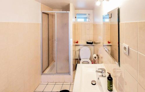 ein Bad mit einem WC, einer Dusche und einem Waschbecken in der Unterkunft 1 Bedroom Stunning Home In Juvisy-sur-orge in Juvisy-sur-Orge