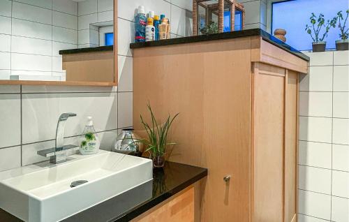 La salle de bains est pourvue d'un lavabo et d'un comptoir. dans l'établissement Gorgeous Home In Skjold With House Sea View, à Skjold