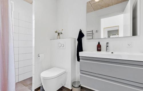a white bathroom with a toilet and a sink at Beautiful Home In Knebel With House Sea View in Knebel