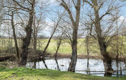 a body of water with trees next to a river at 1 Bedroom Awesome Apartment In Grevinge in Grevinge