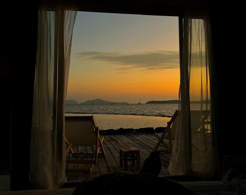 a cat sitting in a window looking out at the ocean at The Sol on the sea - Koh Lanta in Ko Lanta