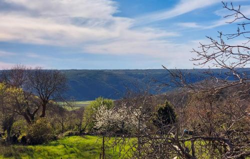 1 Bedroom Lovely Home In Labin