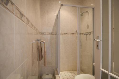 a bathroom with a shower and a toilet at Summer Place Gordons Bay in Gordonʼs Bay