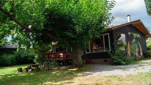 a house with a tree in front of it at Casa Dalpa Pucón in Pucón