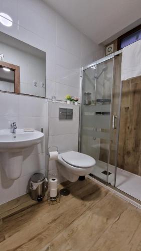 La salle de bains est pourvue de toilettes, d'une douche et d'un lavabo. dans l'établissement Almendrales, à Madrid