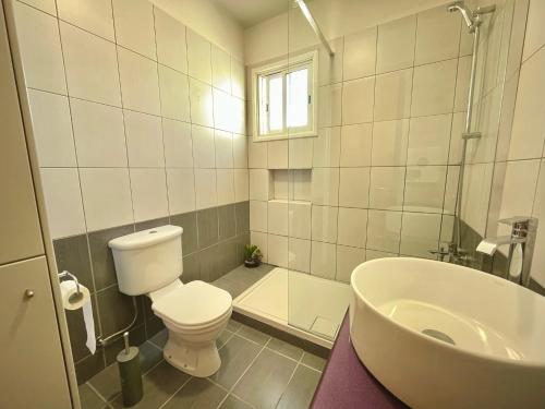 尼科西亞的住宿－La Vie Royale Charming Apartment by Platform 357，白色的浴室设有卫生间和水槽。