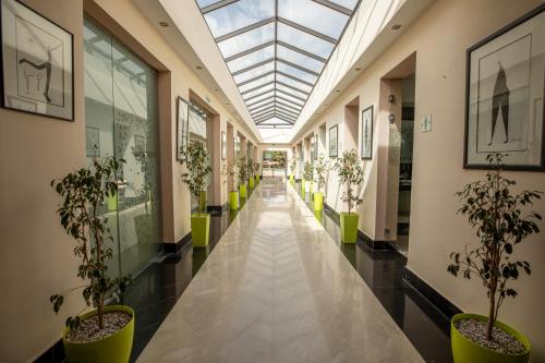 a hallway with potted plants and a skylight at Oliva Hotel Condominium Marrakech in Marrakech