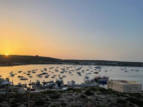 eine Gruppe von Booten in einem Hafen bei Sonnenuntergang in der Unterkunft Mellieha Bay Seafront 1bed Penthouse in Mellieħa
