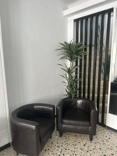 two leather chairs and a plant in a room at SB Arenal in El Arenal