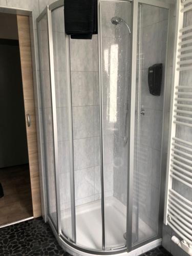 a shower with a glass door in a bathroom at Appartement Brettljause Ferienhaus Fuenf Sinne in Döbriach