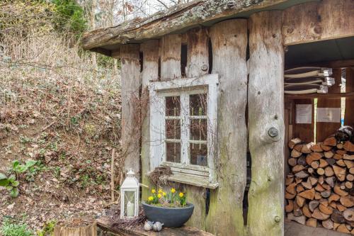 a window in the side of a log house with flowers at Haus Waldesruh in Bruchhausen