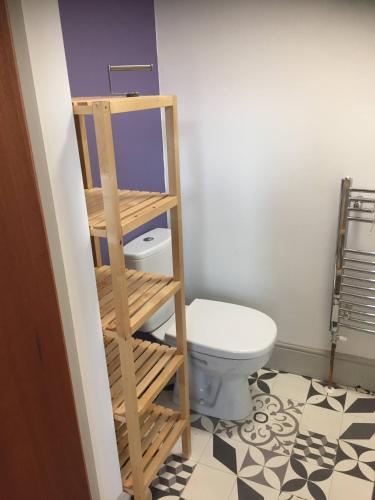 a bathroom with a wooden ladder next to a toilet at 77 Underwood Lane in Crewe