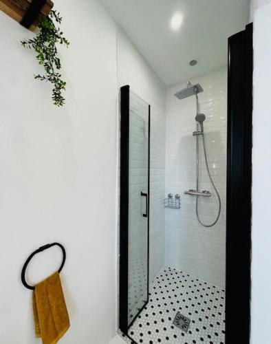 une salle de bain avec une douche avec une porte vitrée dans l'établissement Charmant et lumineux appartement, à Montpellier
