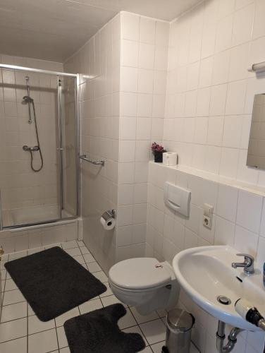 La salle de bains est pourvue d'une douche, de toilettes et d'un lavabo. dans l'établissement Gasthaus alt Freyburg, à Freyburg