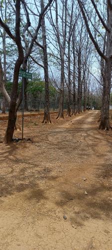 eine unbefestigte Straße mit Bäumen und einem Straßenschild in der Unterkunft Cabaña la Francesa in Río Grande