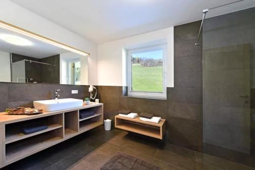 y baño con lavabo, espejo y ducha. en Jaiterhof Apartment Furchetta, en Villnoss