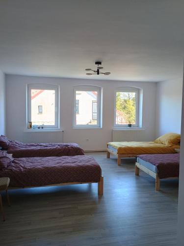 a room with three beds and three windows at Agroturystyka U Puchatka in Rebiszów