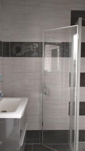 une salle de bain avec une douche en verre et un lavabo dans l'établissement la petite cabane, à Maillé