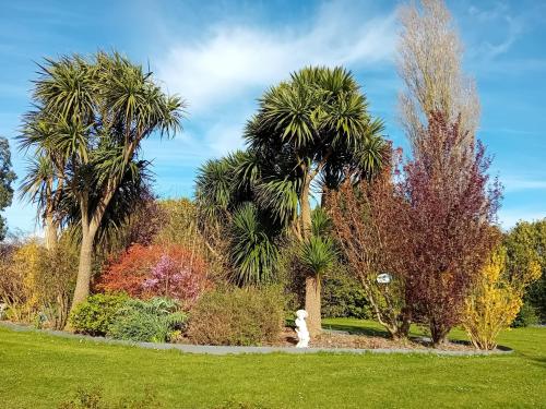 a dog standing in a park with palm trees at Domaine du D-DAY in Saint-Côme-du-Mont