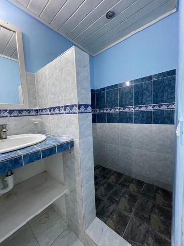 y baño con lavabo y ducha. en Casita de 2 habitaciones, en Las Terrenas