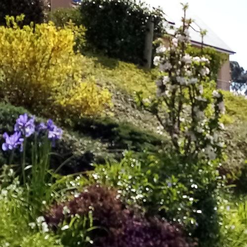 Photo de la galerie de l'établissement le gite du domaine du cotis, à Cherbourg en Cotentin