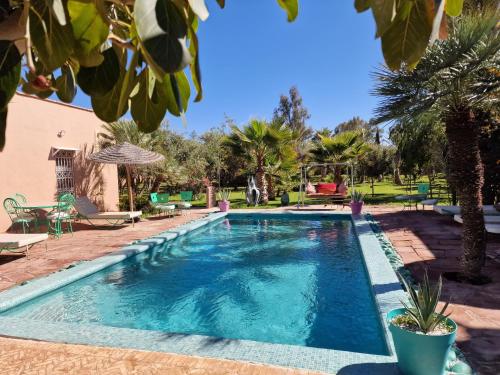 ein Swimmingpool in einem Garten mit Palmen in der Unterkunft Manzal Lahbab, 2Villas 2Bungalows 2Piscines et Jardins in Marrakesch