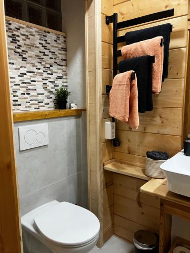 bagno con servizi igienici e lavandino di Chalet Alpina Gyger a Wengen