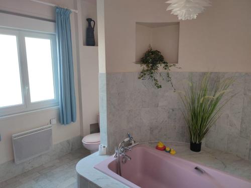 La salle de bains est pourvue d'une baignoire rose et de toilettes. dans l'établissement Nature, espace et confort, 