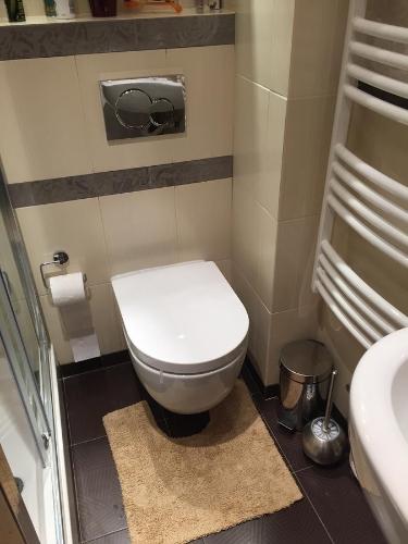 Ένα μπάνιο στο Apartment Ljiljana