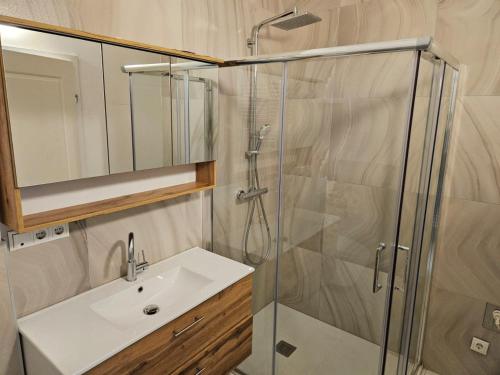 a bathroom with a sink and a shower at GardenLoft no2 in Vienna