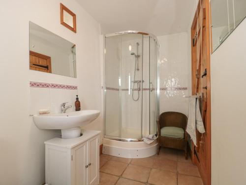 y baño con lavabo y ducha. en Higher Putham Barn, en Wheddon Cross