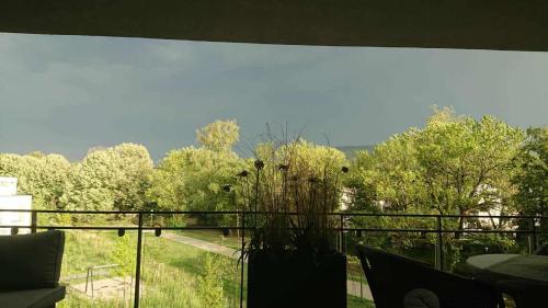 een balkon met uitzicht op de bomen bij Gemütliches Businessapartment in Baden-Baden