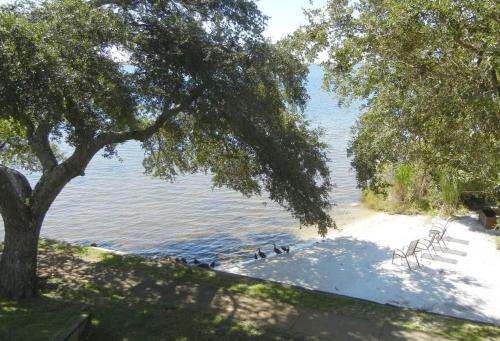 three ducks standing on the shore of a lake at PB B204 - Close to Beach - Optional Boat Slip in Fort Walton Beach