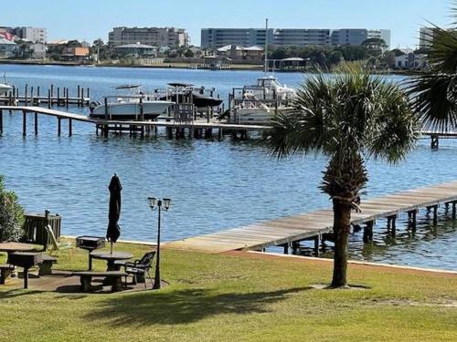 a marina with a palm tree and a table and benches at PB B204 - Close to Beach - Optional Boat Slip in Fort Walton Beach
