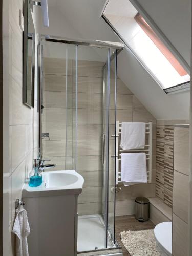 a bathroom with a shower with a sink and a toilet at Napsugár Vendégház in Tihany
