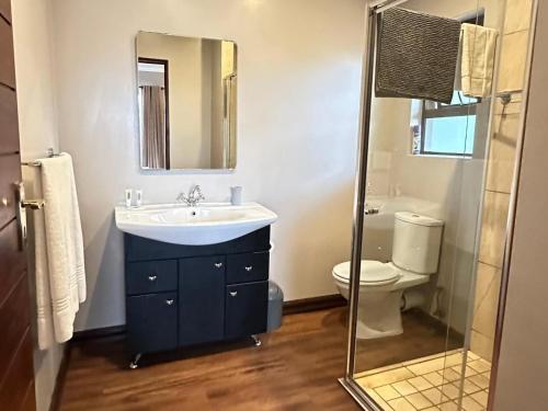 a bathroom with a sink and a toilet and a mirror at Cozy In Jozi in Edenvale