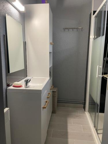 biała łazienka z umywalką i prysznicem w obiekcie cottage chaleureux dans domaine privé w mieście Signy-le-Petit