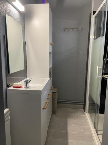 une salle de bain blanche avec un lavabo et une douche dans l'établissement cottage chaleureux dans domaine privé, à Signy-le-Petit