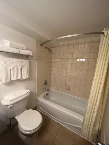 a bathroom with a toilet and a bath tub at Hidden Valley Resort, an Ascend Collection Resort in Huntsville