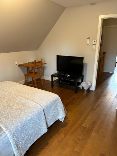 Gîte du lac Poisson Blancにあるテレビまたはエンターテインメントセンター