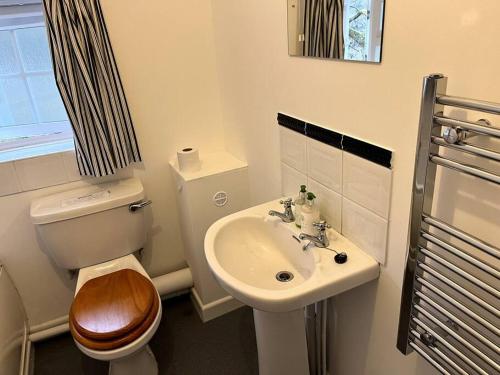 a small bathroom with a toilet and a sink at 10 Wye Rapids Cottages in Symonds Yat