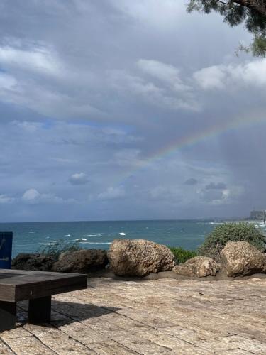 a bench sitting next to some rocks and the ocean at Hotel del europe in Tel Aviv