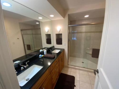 bagno con grande lavandino e doccia di Beautiful First Floor suite with patio to the Bay a Traverse City